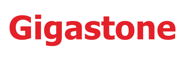 Gigastone Logo